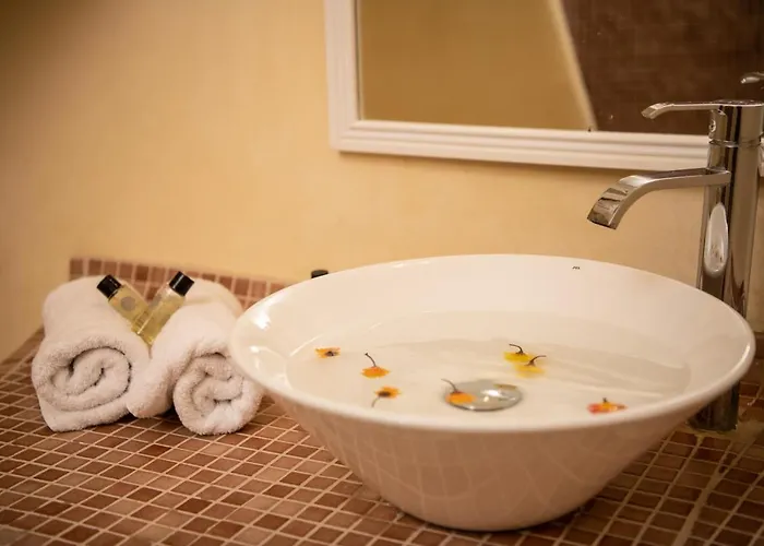 Iatis View Collection